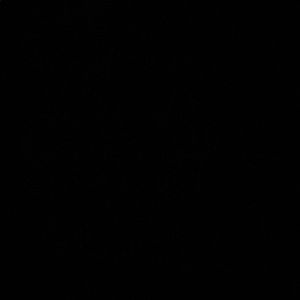 Meet your Posher, Lizbeth